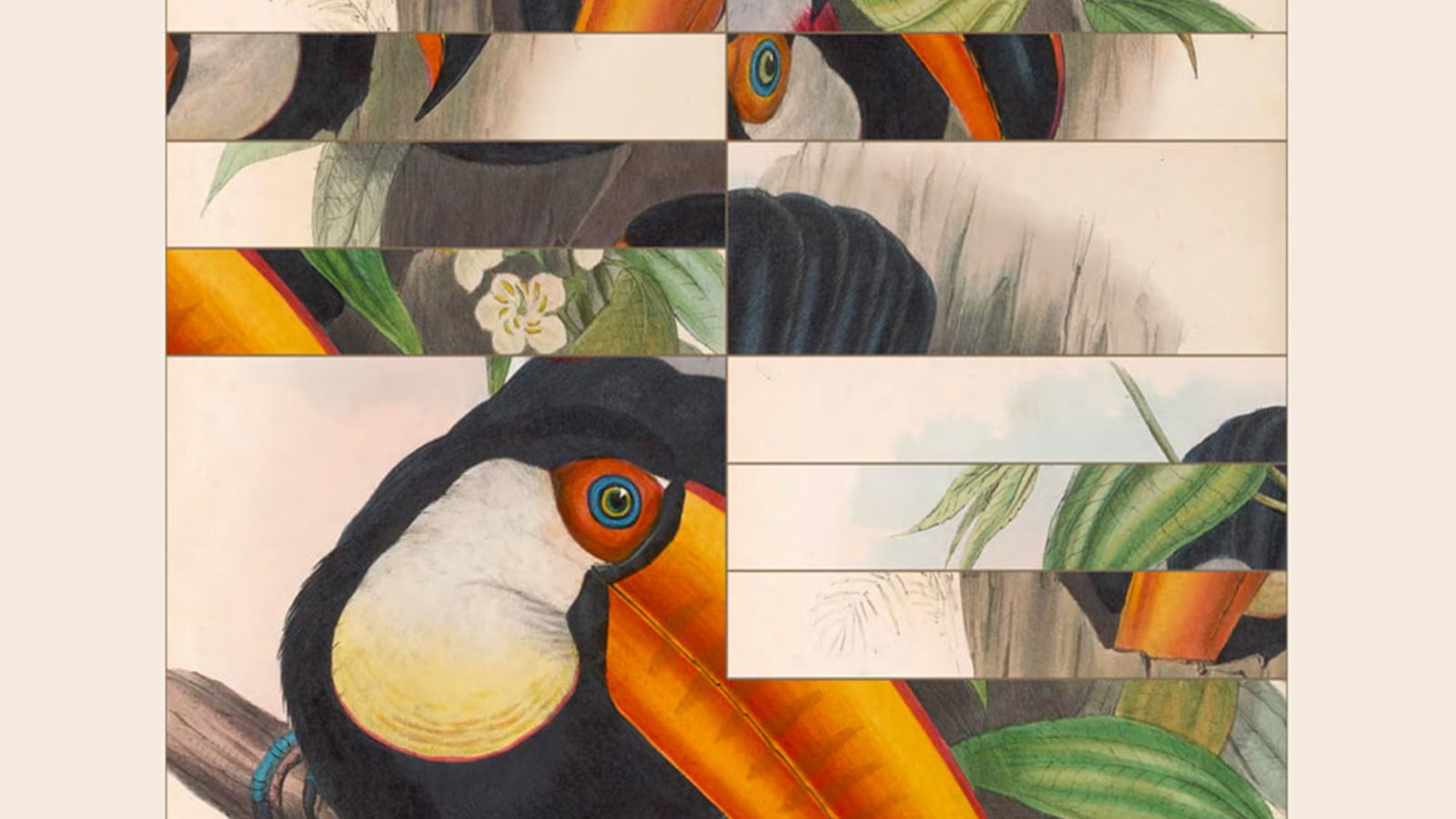 Art of Fauna: Cozy Puzzles+